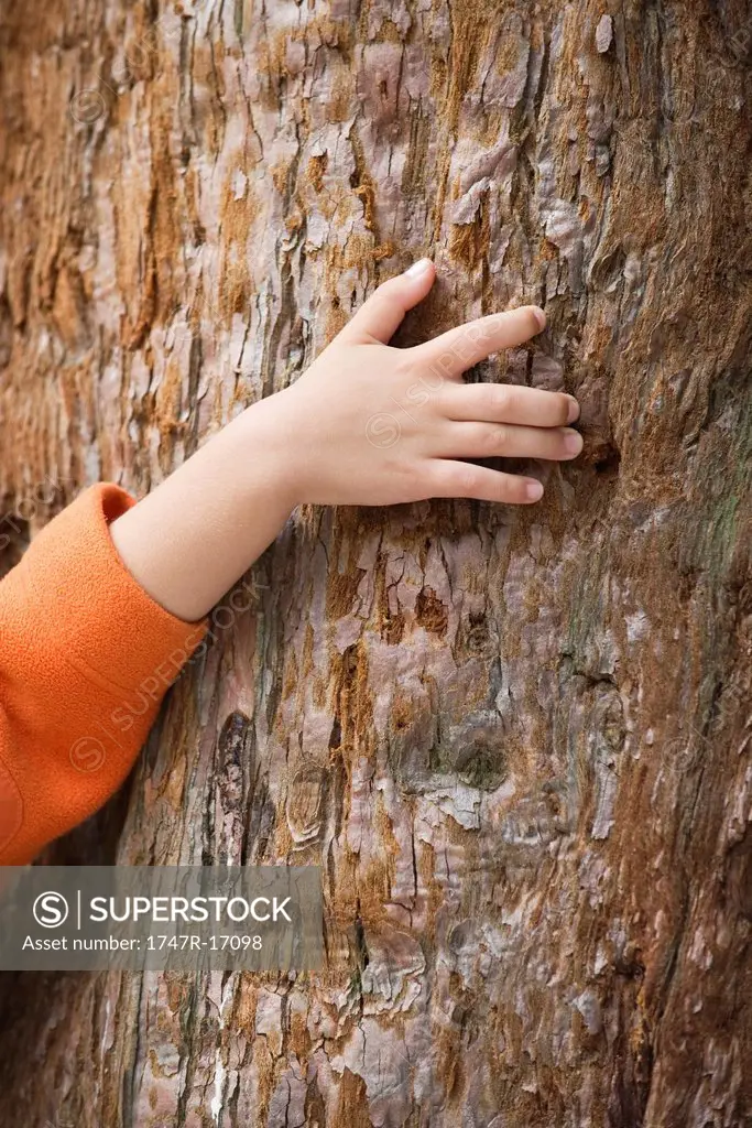 Child´s hand touching tree trunk