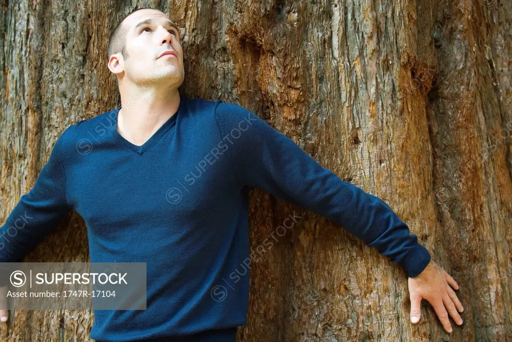 Man touching tree trunk, looking up