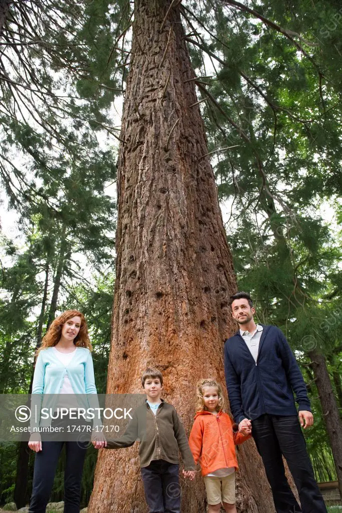 Family standing together at base of tall tree, holding hands