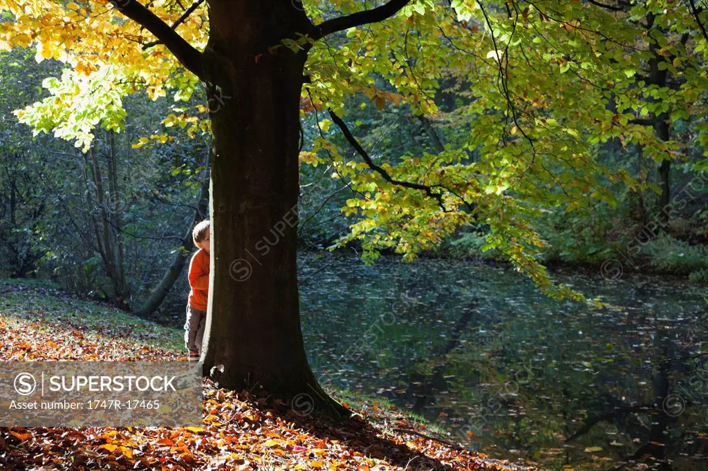 Boy hiding behind tree in autumn