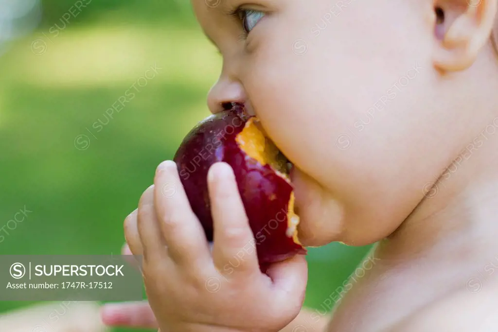 Baby girl eating plum, side view