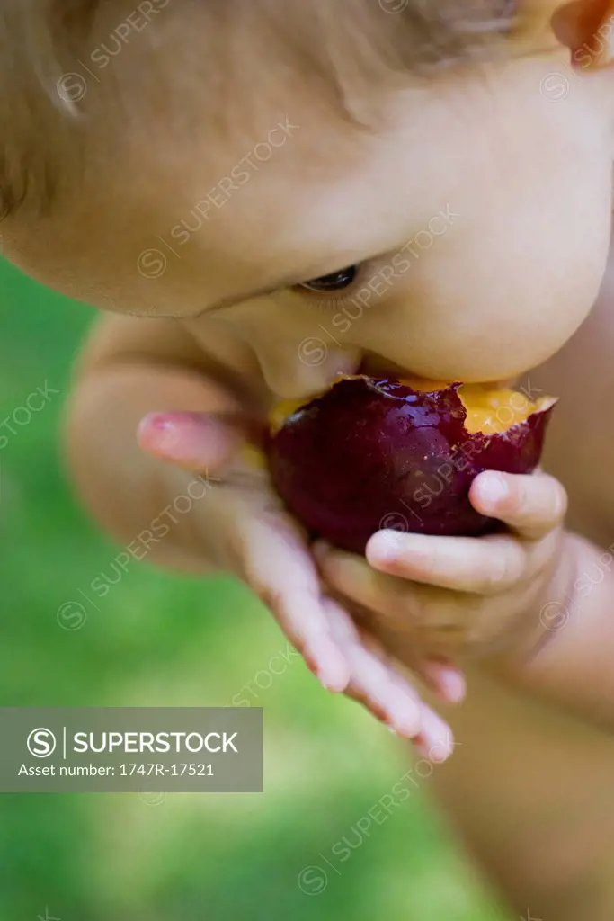 Baby girl eating plum, cropped