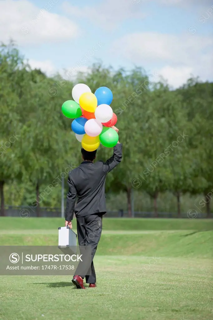 Businessman walking on meadow holding bunch of balloons, rear view