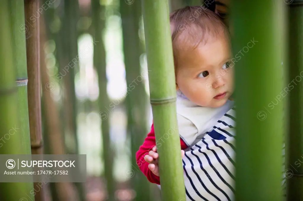 Baby girl in bamboo grove