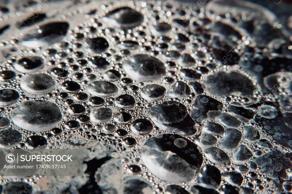 Bubbly water surface, close_up