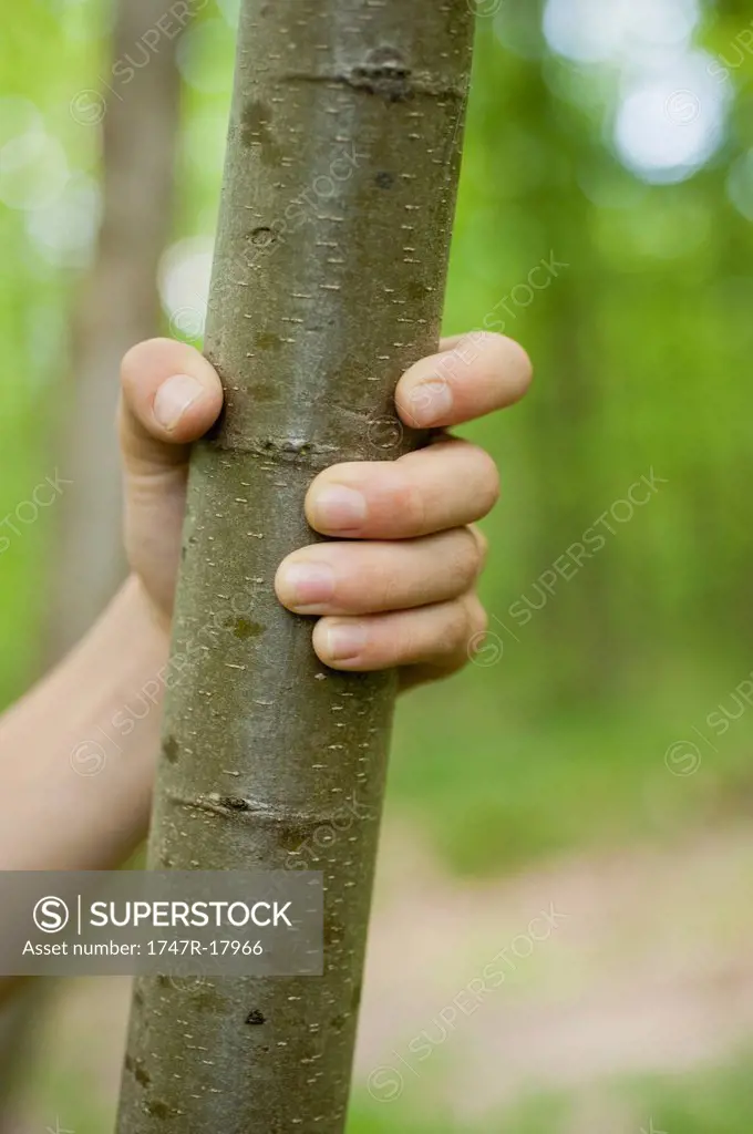 Child´s hand gripping tree trunk, cropped