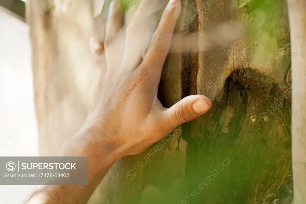 Man´s hand touching tree bark, cropped