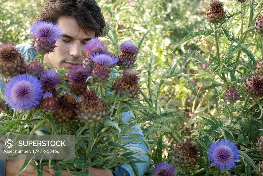 Mid_adult man in flowering thistle bush, eyes closed