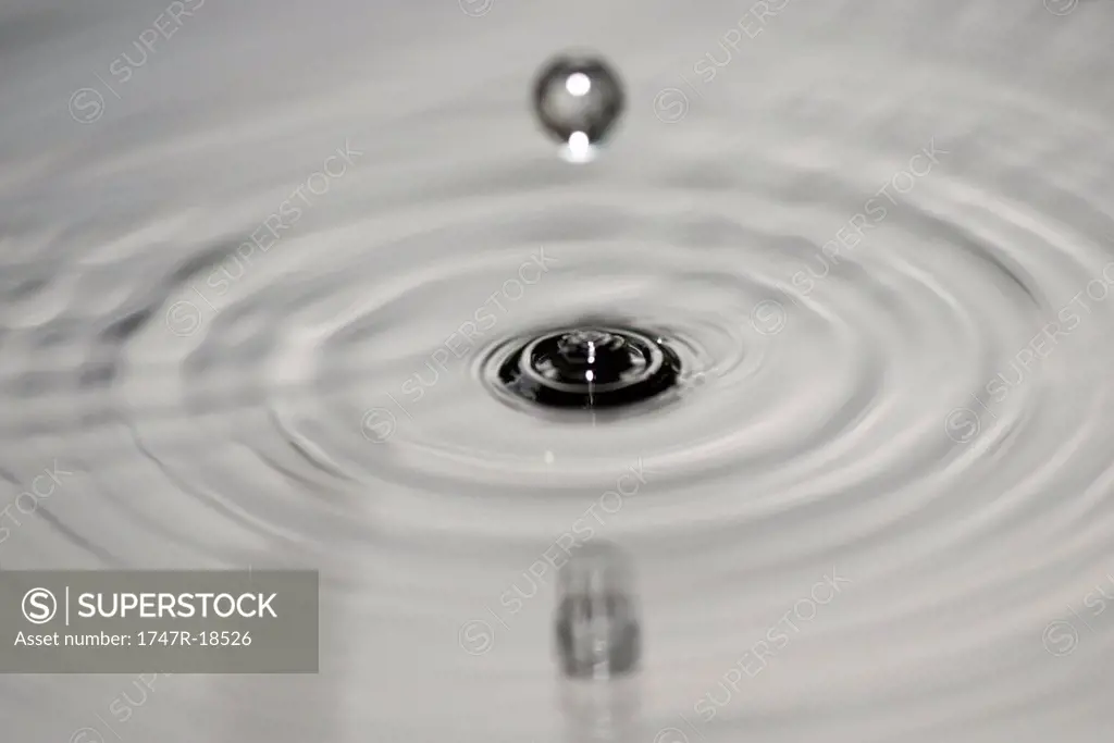 Drop hitting surface of water