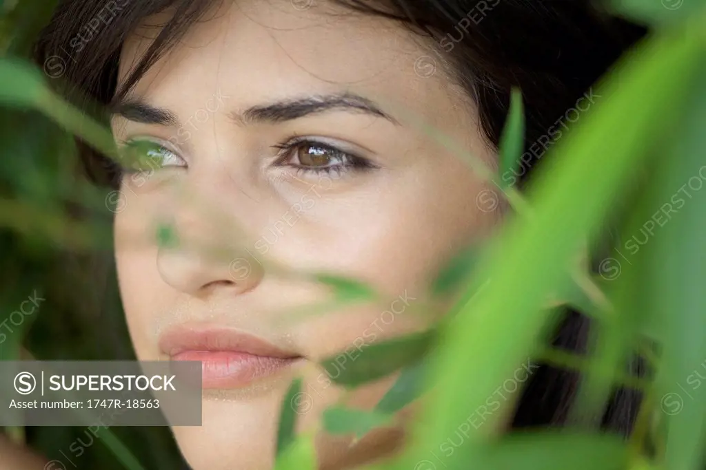Young woman behind foliage, portrait
