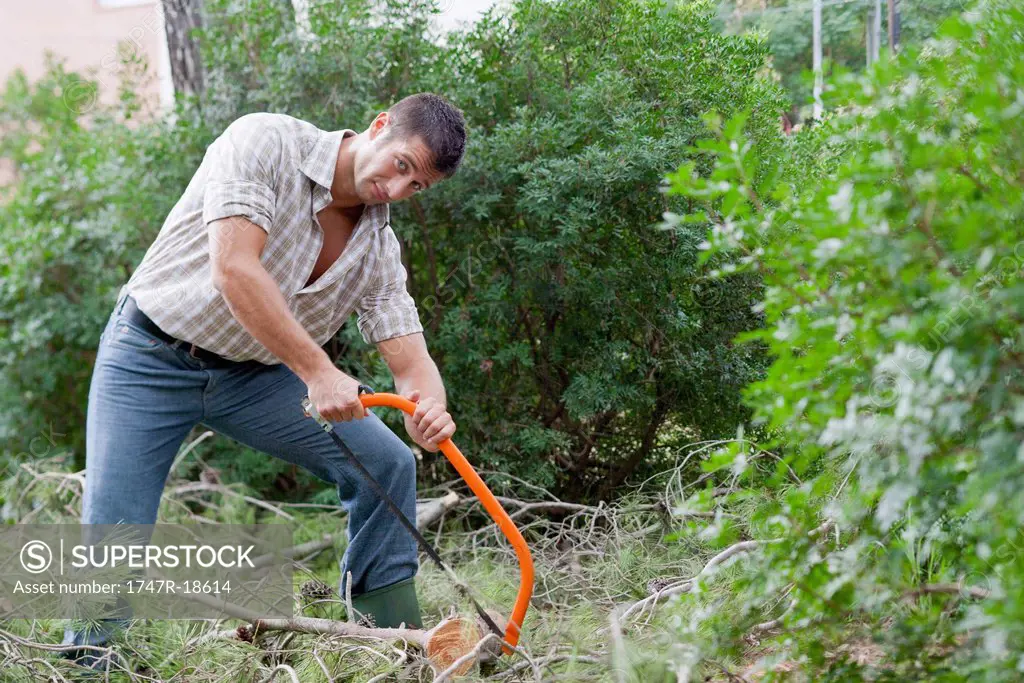 Man sawing tree branch