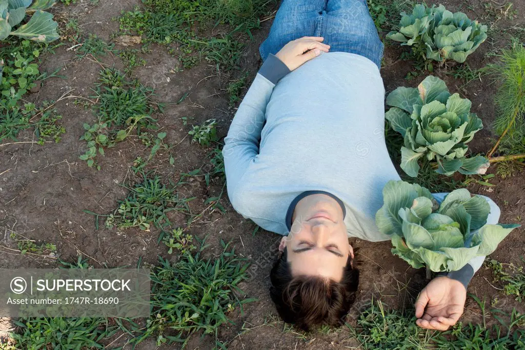 Man lying on ground, arm around cabbage plant, directly above