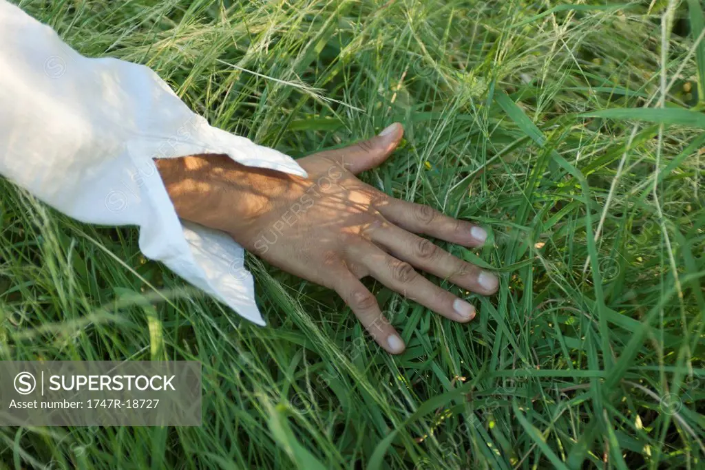 Man´s hand touching grass, cropped
