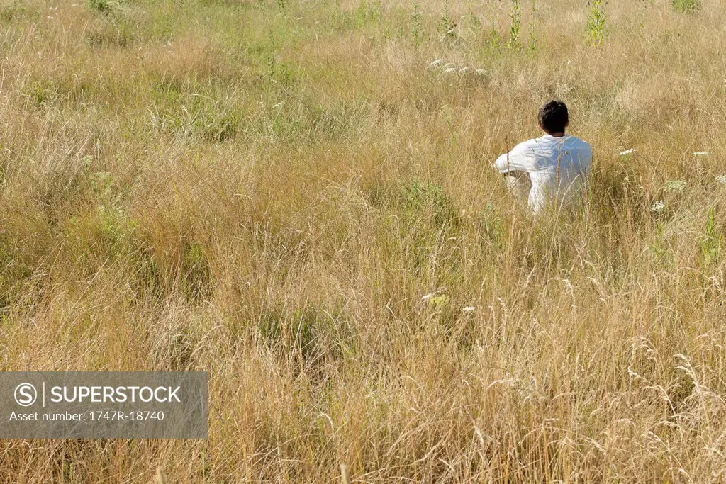 Man sitting in field, rear view