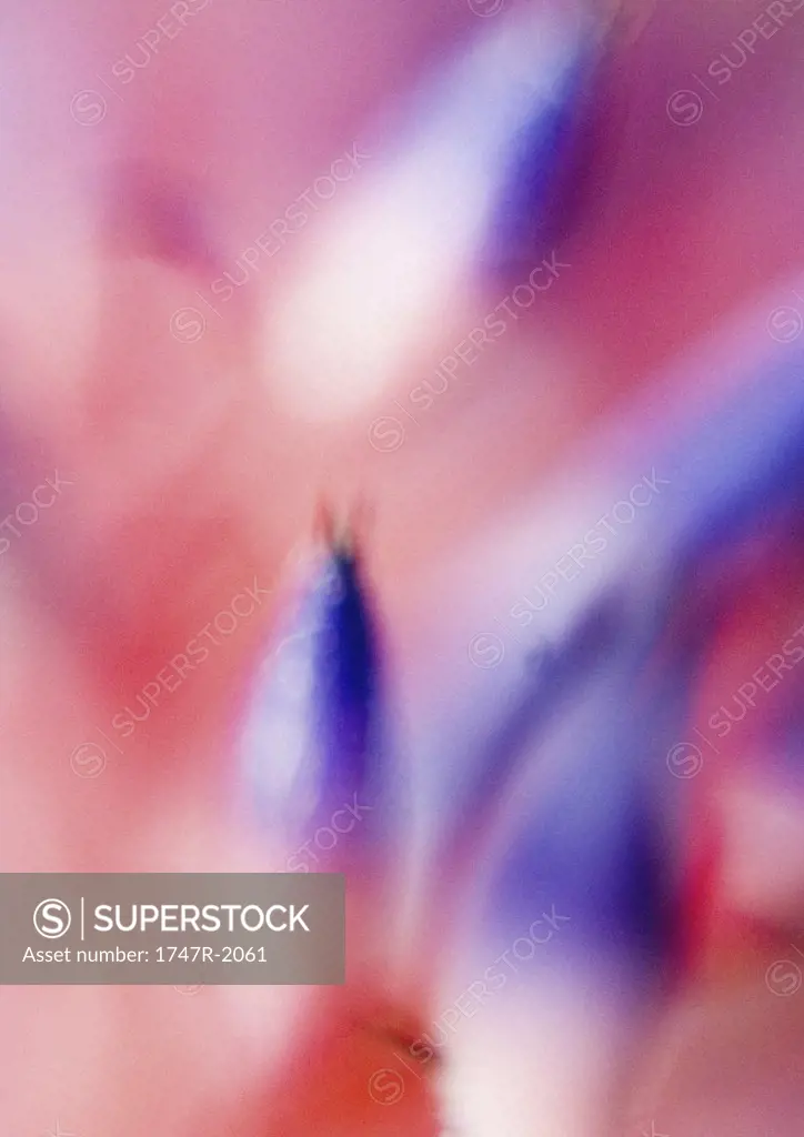 Bromeliad flowers, extreme close-up
