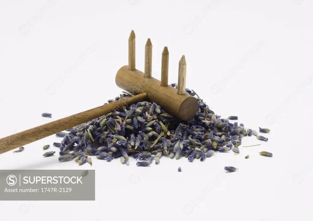Pile of dried lavender and rake