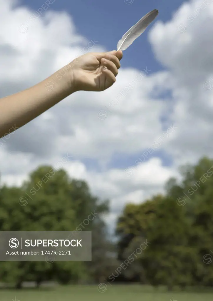 Child's arm holding up feather