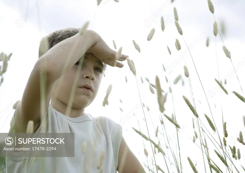 Boy standing in weeds, shading eyes