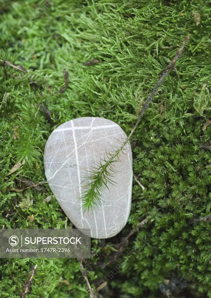 Pebble on moss