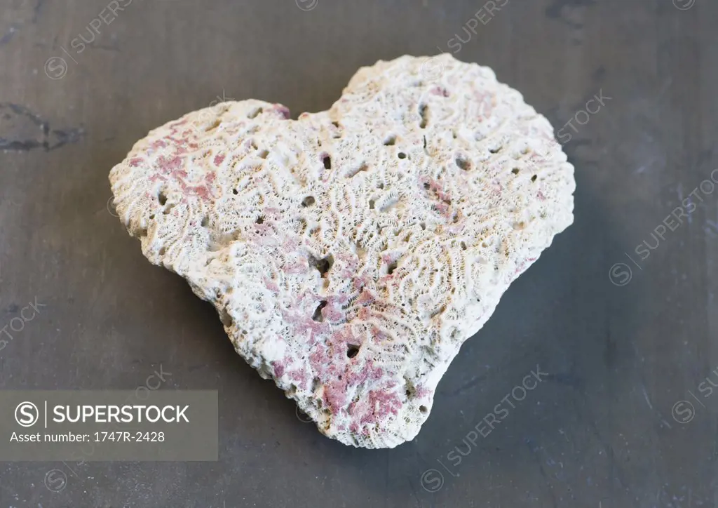Heart-shaped piece of coral