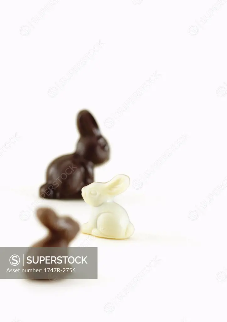 Chocolate bunnies