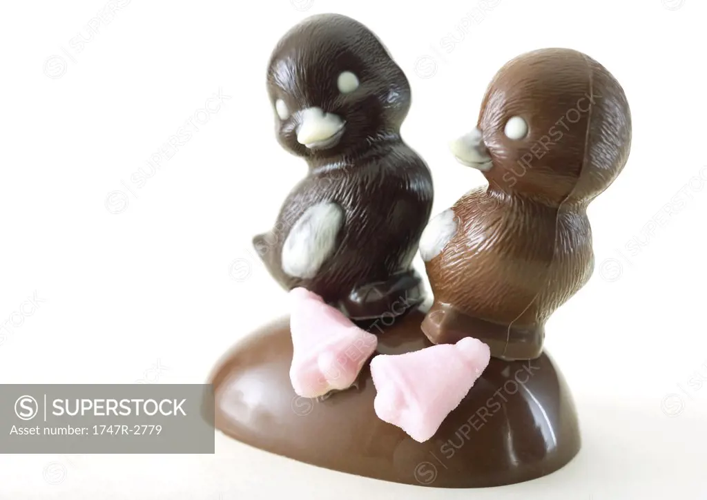 Chocolate chicks