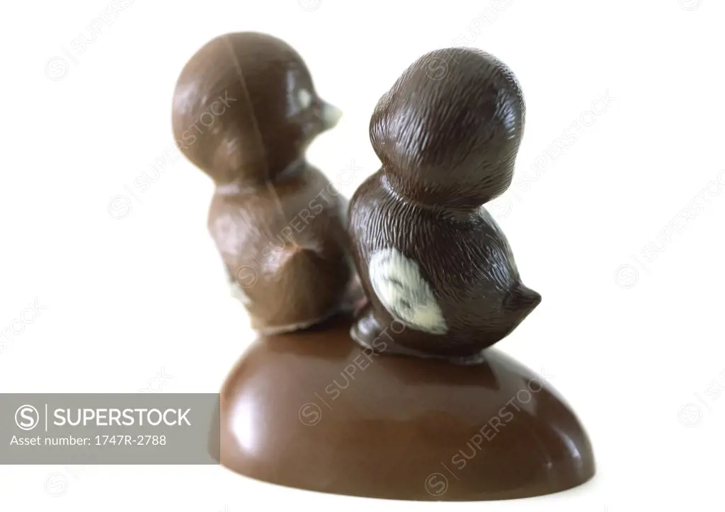 Chocolate chicks