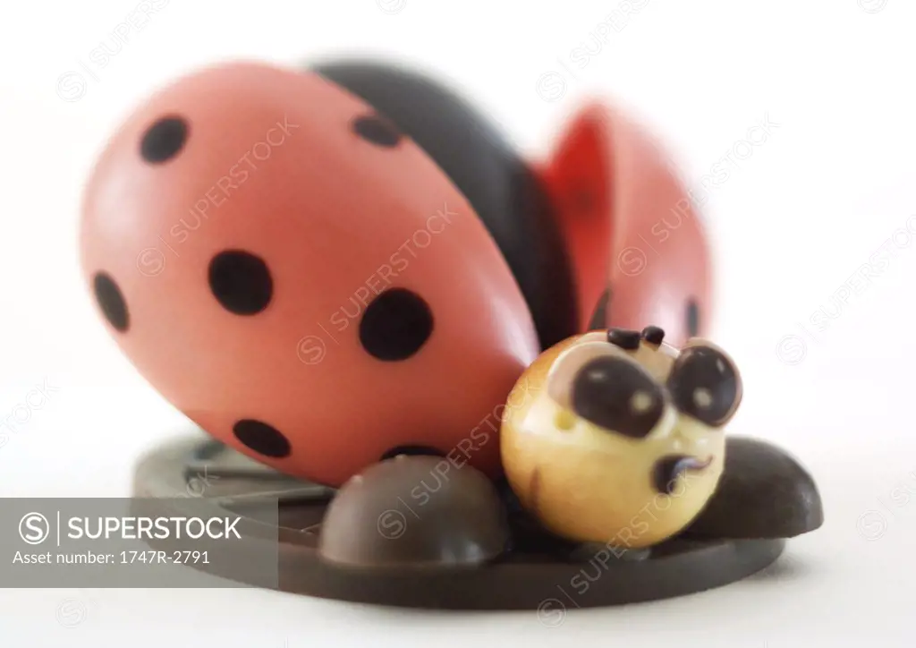 Chocolate ladybug