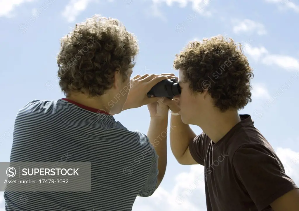Two men using binoculars, rear view
