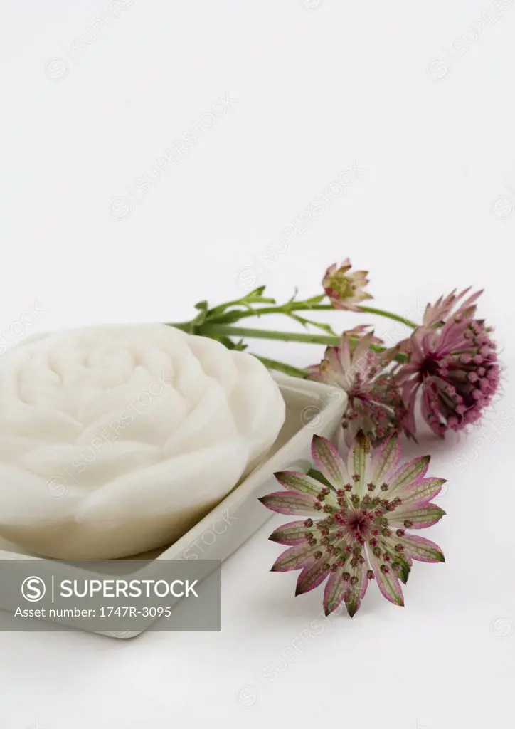 Bars of soap and astrantia flowers