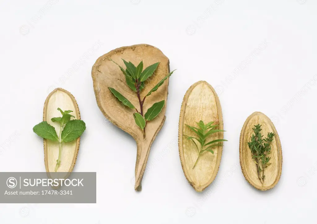Variety of herbs on an assortment of dried husks