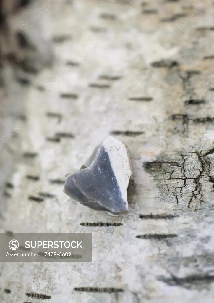 Heart shaped stone on bark background