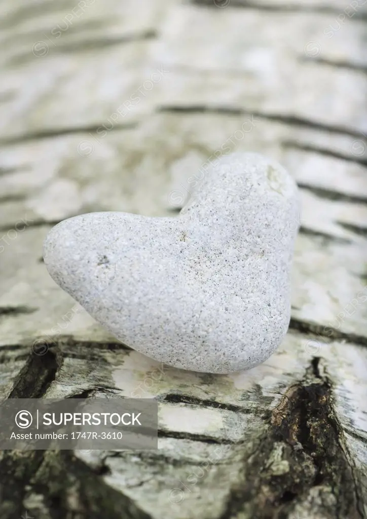 Heart shaped stone on bark background