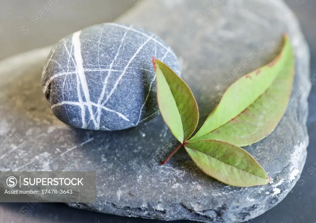 Pebble and leaf on flat stone