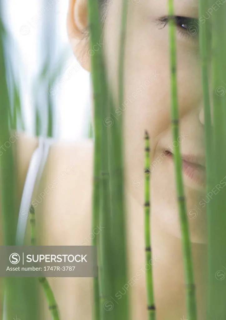 Womans face seen through reeds