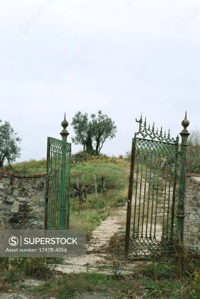 Metal gate at entrance to dirt driveway and olive trees in background