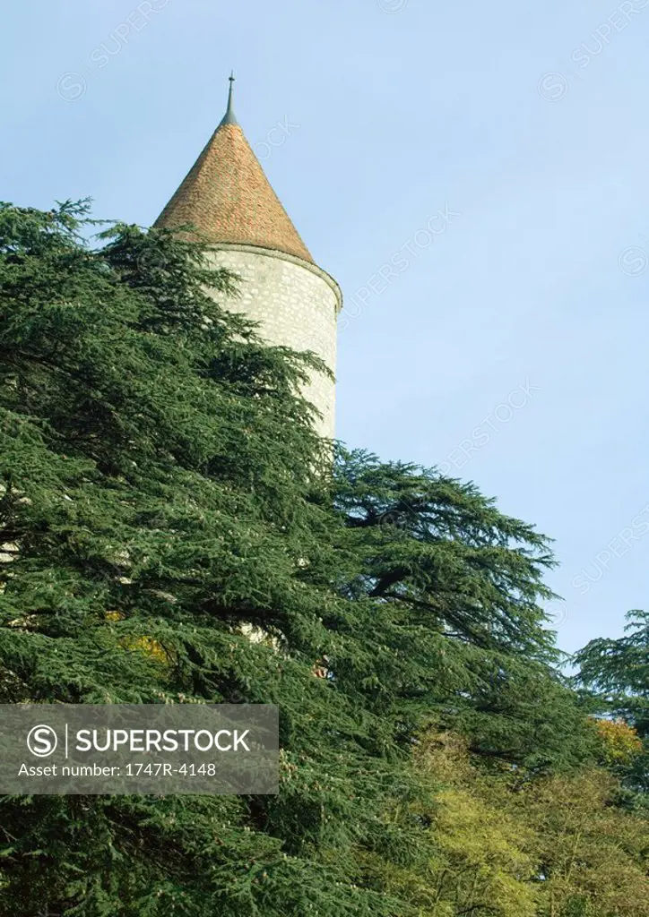 Switzerland, turret hidden in trees, low angle view