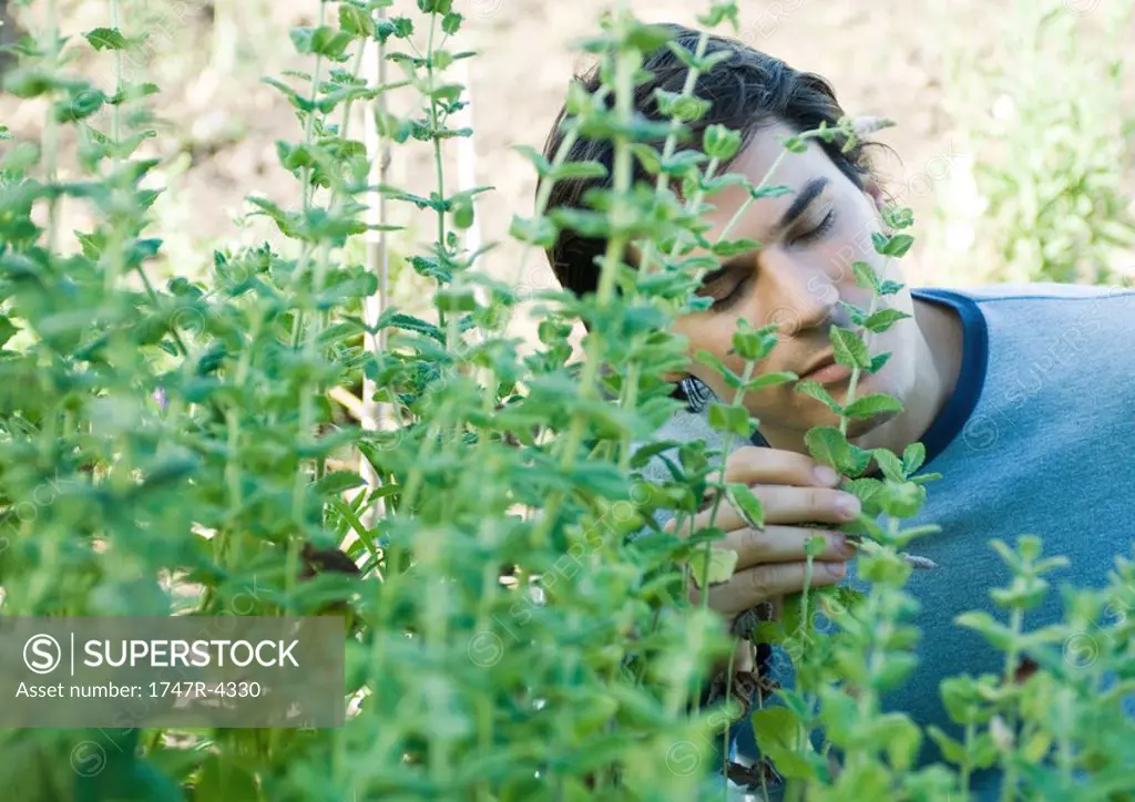 Man smelling herbs