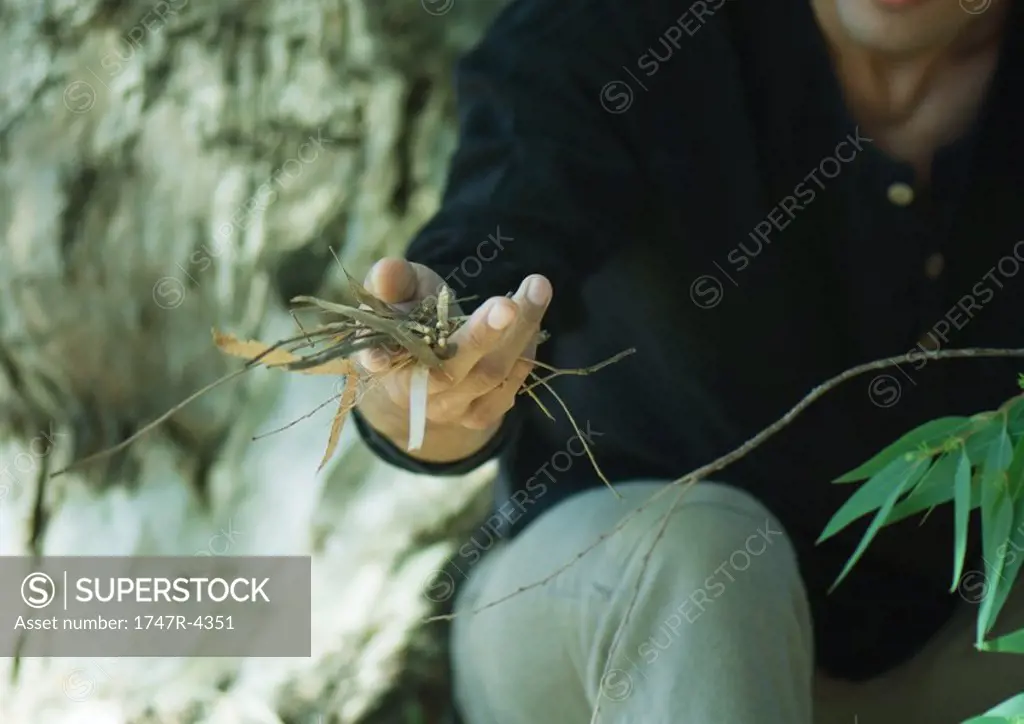 Man holding handful of twigs and dry leaves, cropped view