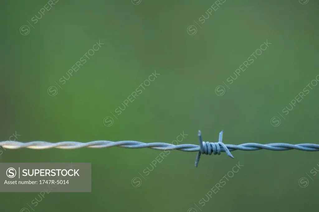 Barbed wire, close-up