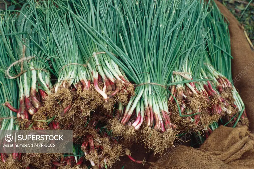Bunches of shallots