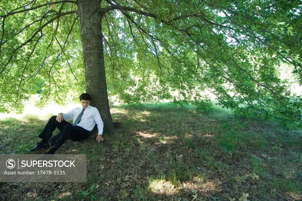 Businessman sitting under tree