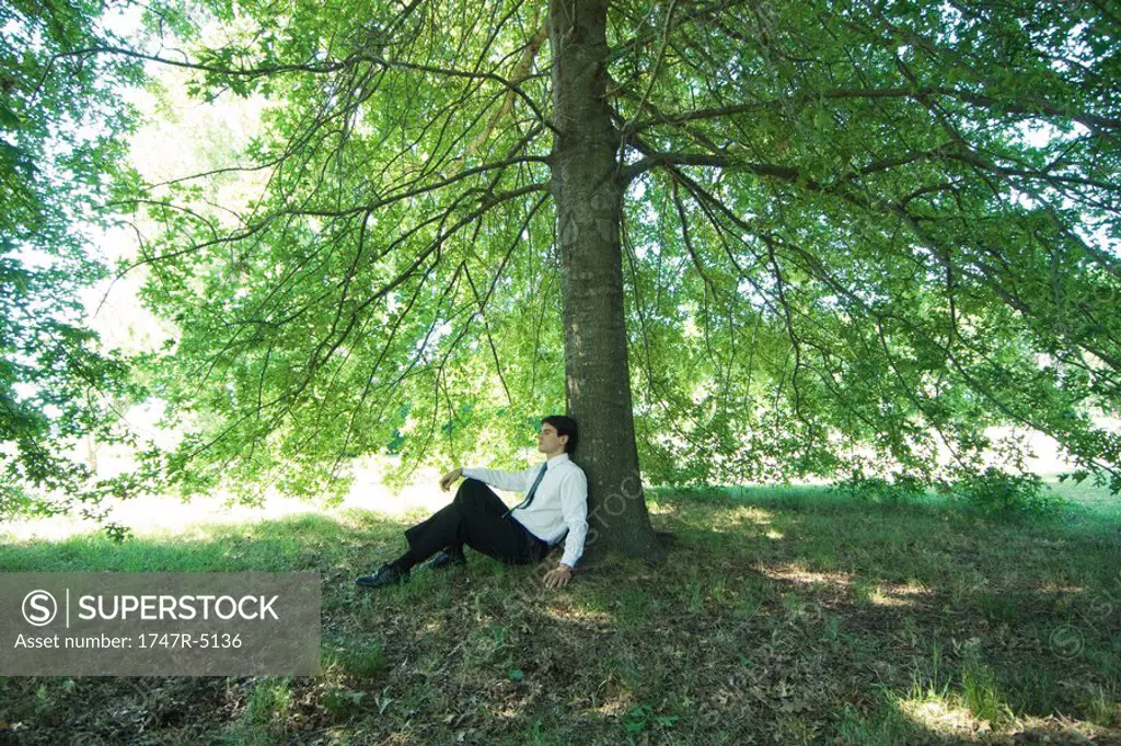 Businessman sitting under tree