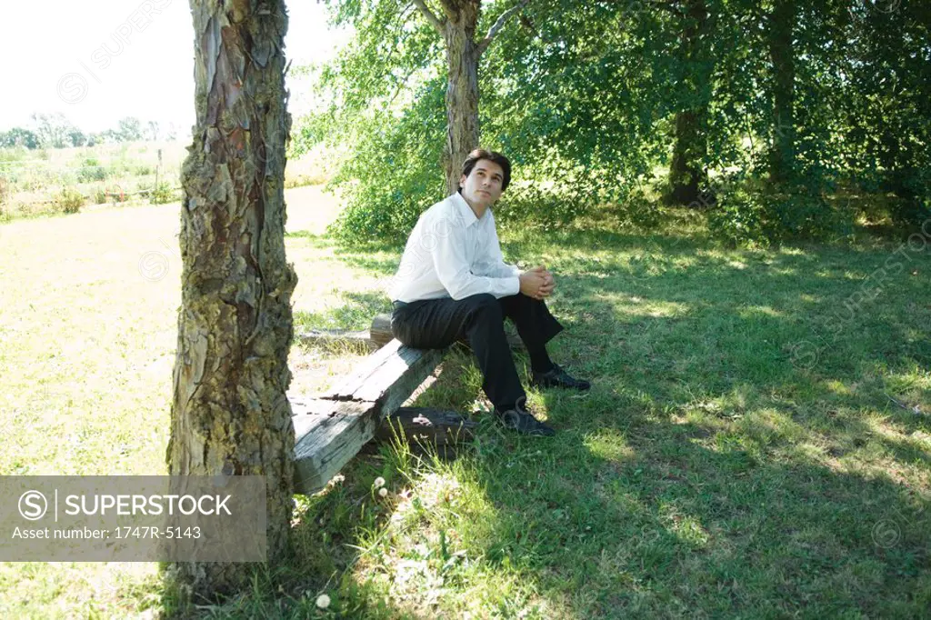 Businessman sitting under tree on bench
