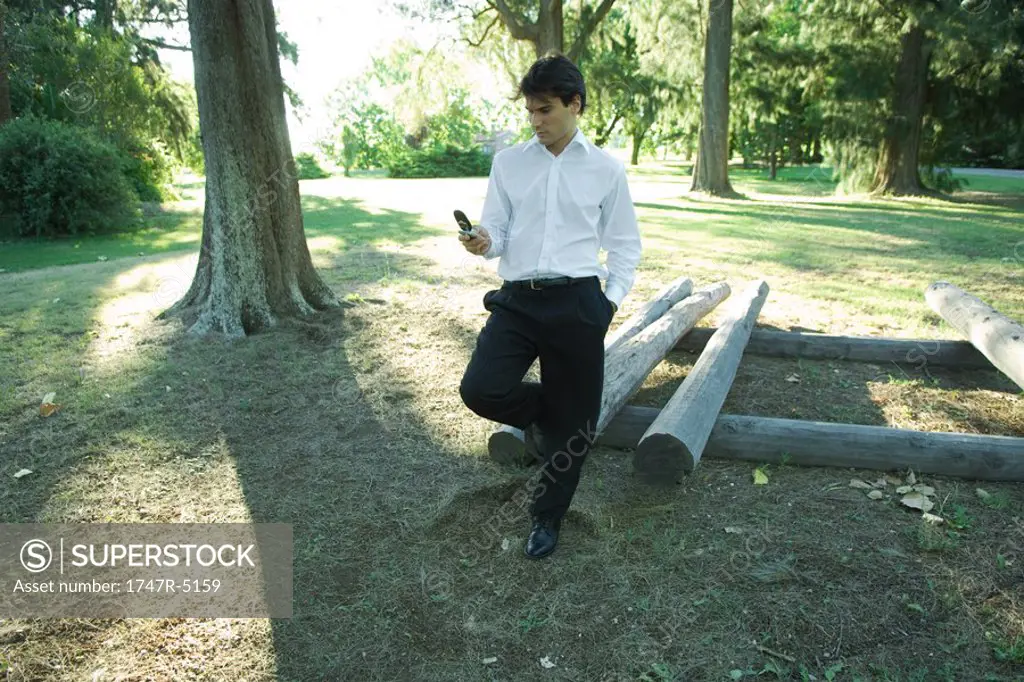 Businessman standing by logs, looking at cell phone