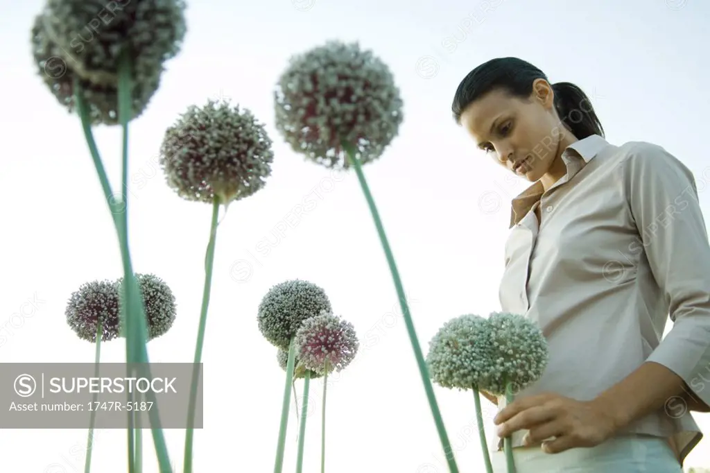 Woman standing with allium flowers