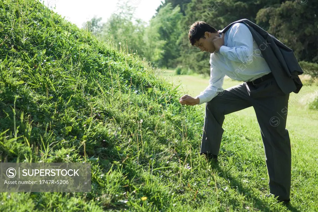 Businessman standing by grassy hill, picking blade of grass