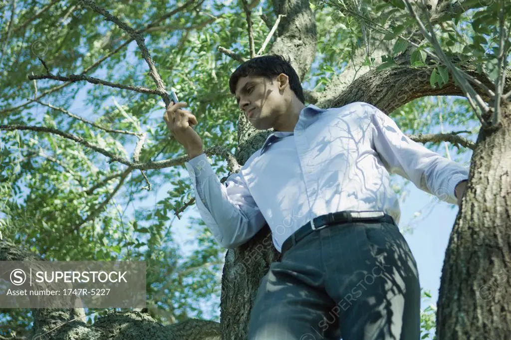 Businessman using cell phone in tree