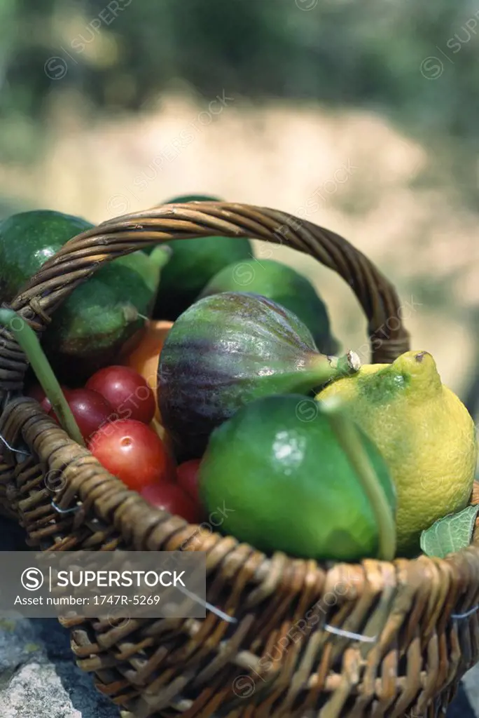 Basket full of fresh produce