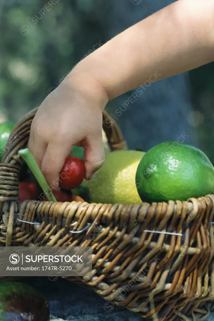 Child reaching for fruit in basket full of fresh produce